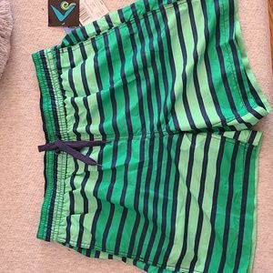 Mens green stripped swim shorts